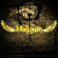 Halcyon jacket artwork
